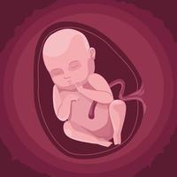 bebé dentro del útero vector