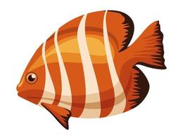 pez payaso animal exótico vector