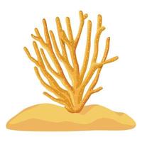 yellow seaweed plant vector