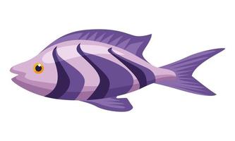 lilac exotic fish vector