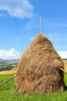 Haystack in the Carpathians on a green meadow against the backdrop of mountain hills, vertical shot. photo