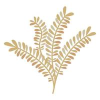 golden palm leafs vector