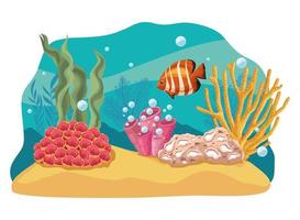 seaweed and fish vector