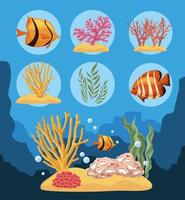 siete iconos de la vida marina vector