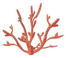 red seaweed sealife vector