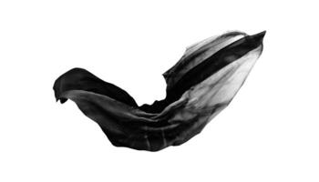 line dark smooth elegant black flying fabric silk texture abstract on white photo