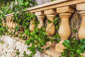 Ivy on the stone railing garden Mallorca Balearic Islands Spain. photo