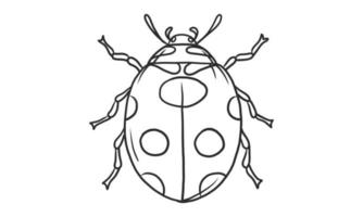 Ilustración de vector lineart de escarabajos sobre fondo blanco, boceto de insecto insecto escarabajo cornudo japonés dibujado a mano