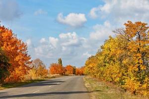 Autumnal orange and yellow foliage of roadside trees flank the old tarmac road. photo