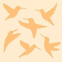 patrón de silueta de colibríes dibujados a mano.