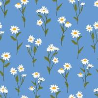 Chamomile vector seamless pattern. Floral ditsy texture with small white daisy flowers, buds and leaves for fabric, wrapping, textile and wallpaper.