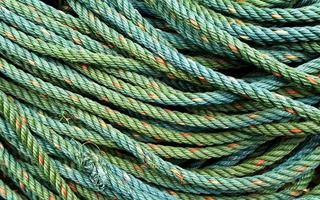 Roll of green nylon rope photo