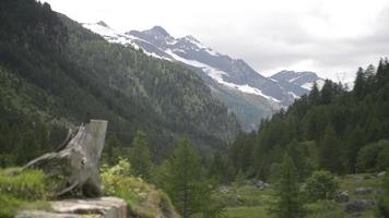 Alpes no verão. picos cobertos de neve e vales verdes video
