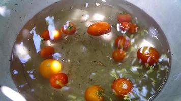 Tomatoes swim in the pelvis with water video