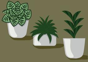 Tropical plant minimalist potted vector