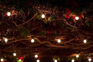 luces de navidad - condado de orange - dic 2018 foto