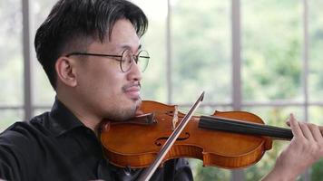 retrato, de, músico, tocar violín, en, concierto
