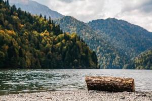 Tree log cut off on lake on a background of mountains and forest photo