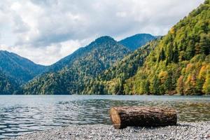 Tree log cut off on lake on a background of mountains and forest photo