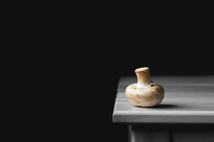 One mushroom champignon lie on the edge of a white table on a dark background photo