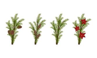 Set of green Christmas fir or pine branches with brown cones and red poinsettia flower. Festive interior decoration for new year, element for design Christmas wreath on door. Vector flat illustration