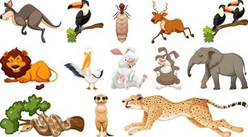 Set of different wild animals cartoon characters vector