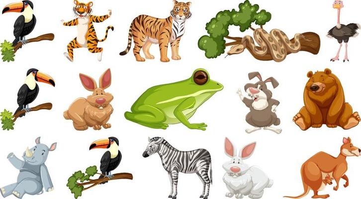 Set of different wild animals cartoon characters