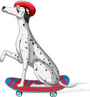 Dalmatian dog wears helmet standing on skateboard vector