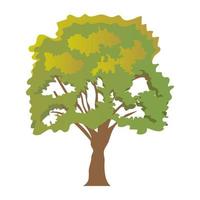 Sycamore Tree Concepts vector