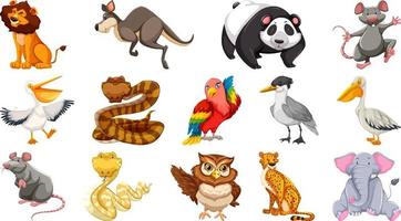 Set of different wild animals cartoon characters vector