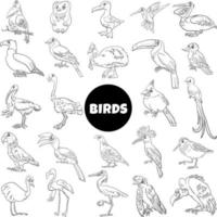 dibujos animados en blanco y negro especies de aves personajes de animales gran conjunto vector