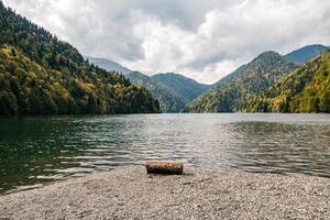 Tronco de árbol cortado en el lago sobre un fondo de montañas y bosques