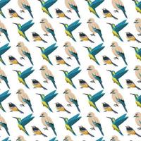 Birds Seamless Pattern Design vector