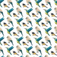 Birds Seamless Pattern Design vector