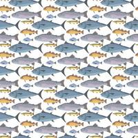 fish Seamless Pattern Design vector