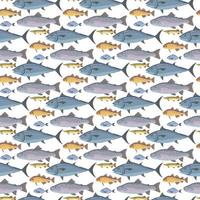 diseño de patrones sin fisuras de peces vector