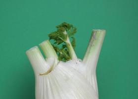 fennel vegetables food photo