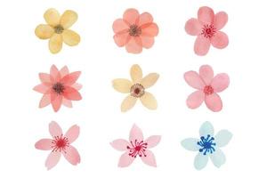 Hand-drawn flowers with watercolor vector