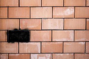 Red brick wall with one black painted element photo