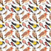 Birds Seamless Pattern Design vector