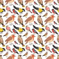 Birds Seamless Pattern Design vector