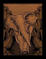 Ilustración elefante vintage con estilo de grabado vector