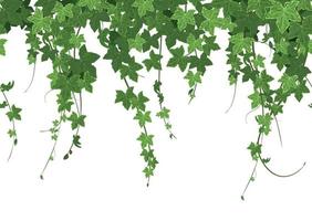 Ivy Border Seamless Composition vector