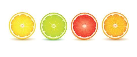 Citrus Slice Realistic Set vector