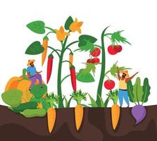 Carrot Harvesting Flat Composition vector