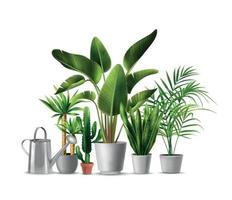 ilustración realista de plantas de interior vector