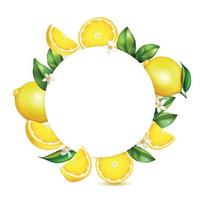 Citrus Lemon Realistic Frame vector