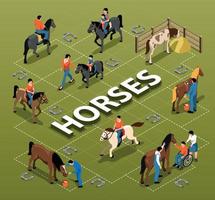 Horses Isometric Flowchart vector