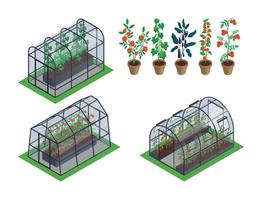 Isometric Greenhouse Vegetables Icon Set vector