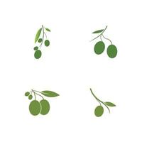 olive icon vector illustration